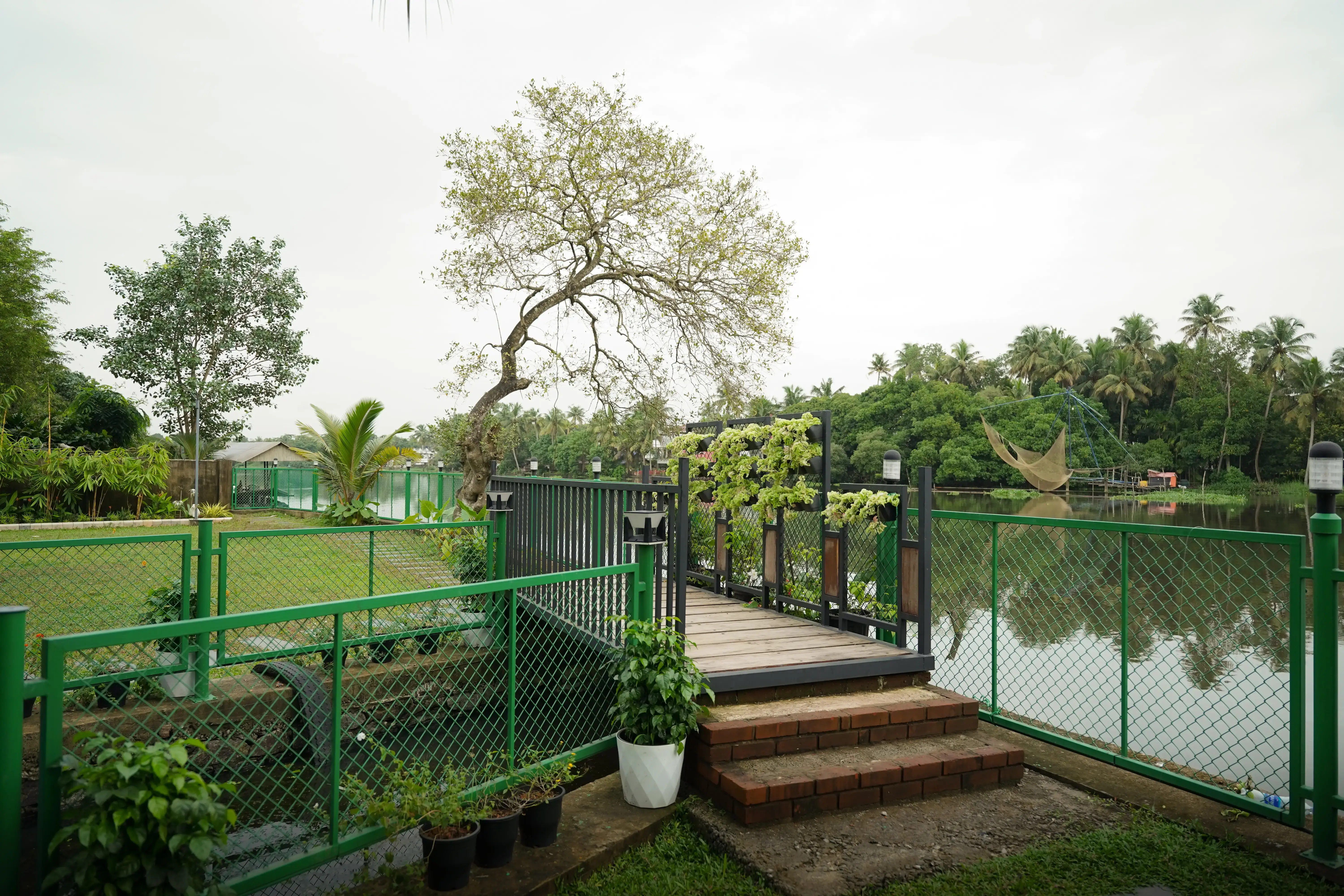 Kerala backwater scenery